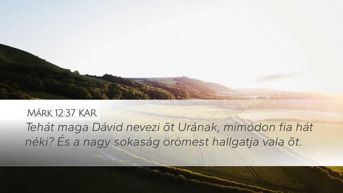 Márk 12:37 KAR Bible Verse Image