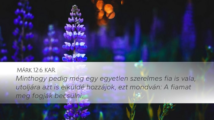 Márk 12:6 KAR Bible Verse Image