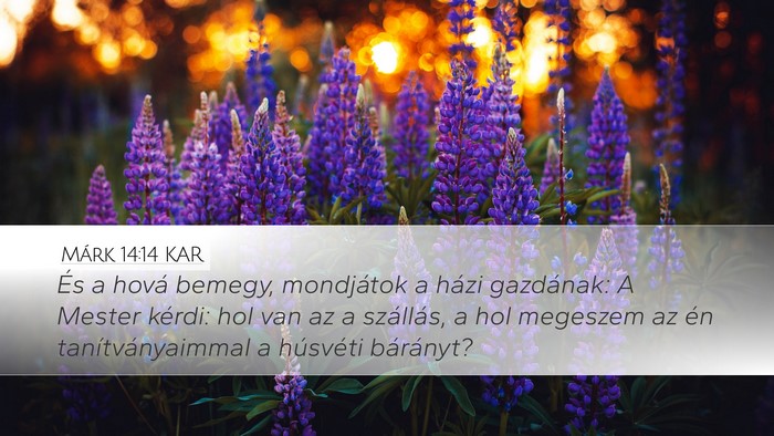 Márk 14:14 KAR Desktop Wallpaper - És a hová bemegy, mondjátok a házi gazdának: - Desktop Bible Verse Wallpaper