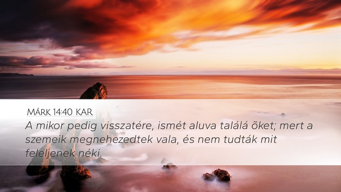 Márk 14:40 KAR Bible Verse Image