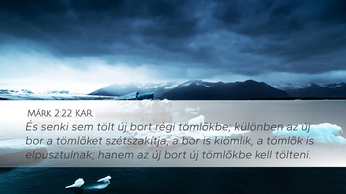 Márk 2:22 KAR Desktop Wallpaper - És senki sem tölt új bort régi tömlõkbe; - Desktop Bible Verse Wallpaper