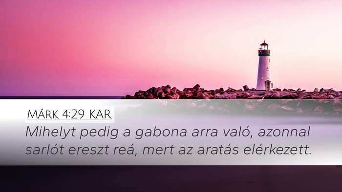 Márk 4:29 KAR Bible Verse Image