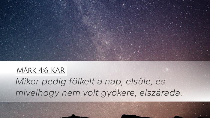 Márk 4:6 KAR Bible Verse Image