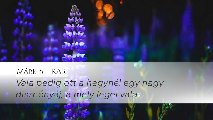 Márk 5:11 KAR Bible Verse Image