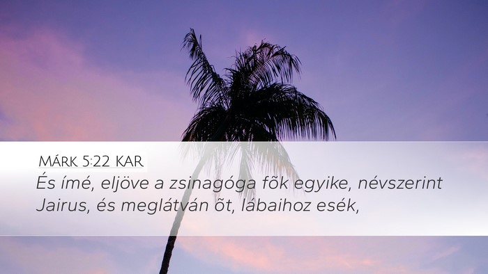 Márk 5:22 KAR Bible Verse Image