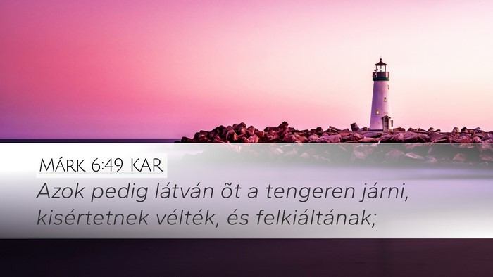 Márk 6:49 KAR Bible Verse Image