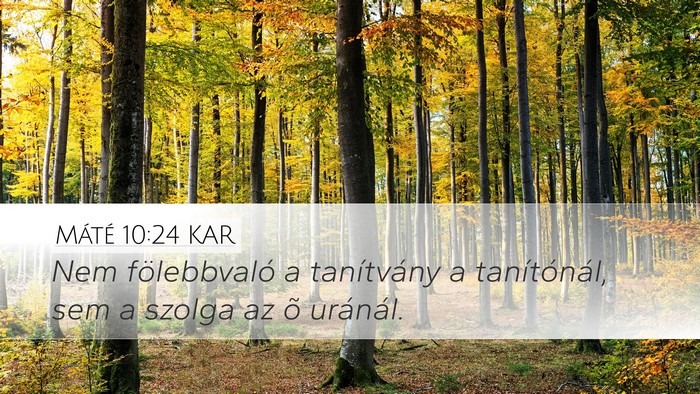 Máté 10:24 KAR Desktop Wallpaper - Nem fölebbvaló a tanítvány a tanítónál, - Desktop Bible Verse Wallpaper