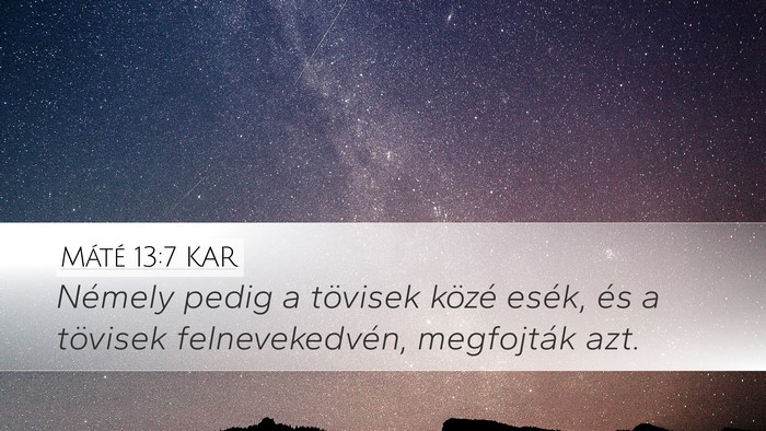 Máté 13:7 KAR Desktop Wallpaper - Némely pedig a tövisek közé esék, és a - Desktop Bible Verse Wallpaper