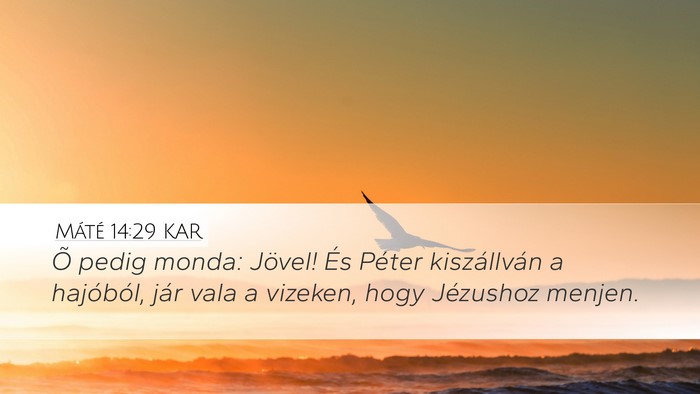 Máté 14:29 KAR Desktop Wallpaper - Õ pedig monda: Jövel! És Péter kiszállván a - Desktop Bible Verse Wallpaper