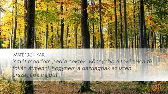 Máté 19:24 KAR Desktop Wallpaper - Ismét mondom pedig néktek: Könnyebb a tevének - Desktop Bible Verse Wallpaper