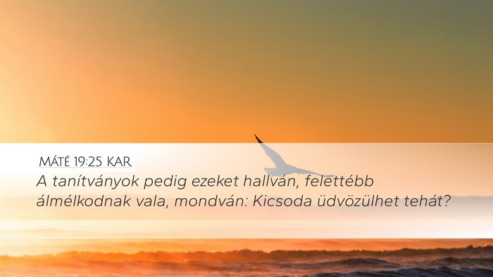 Máté 19:25 KAR Desktop Wallpaper - A tanítványok pedig ezeket hallván, felettébb - Desktop Bible Verse Wallpaper