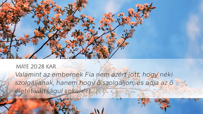 Máté 20:28 KAR Bible Verse Image