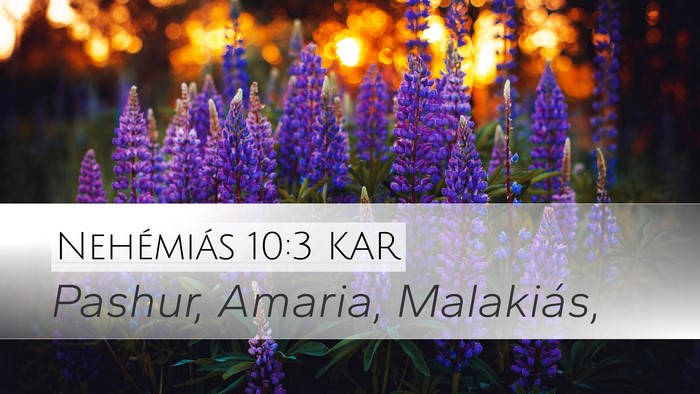 Nehémiás 10:3 KAR Bible Verse Image