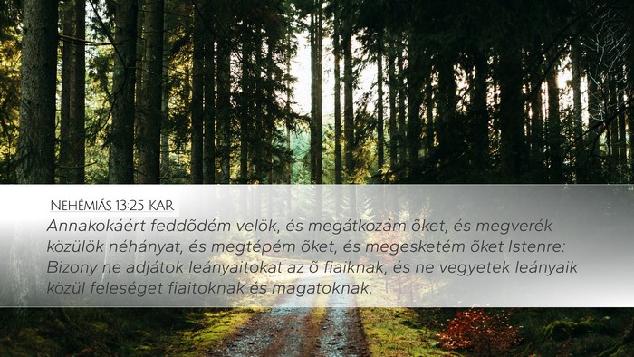 Nehémiás 13:25 KAR Bible Verse Image