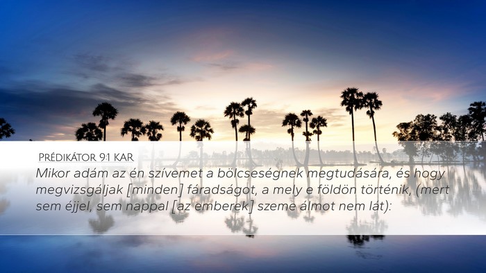 Prédikátor 9:1 KAR Bible Verse Image