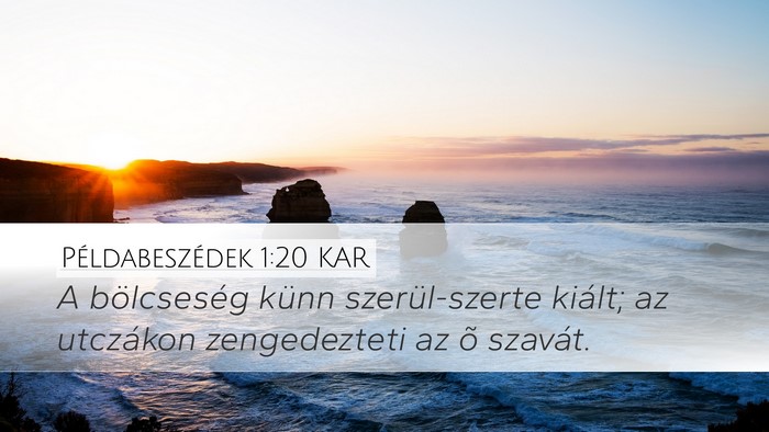 Példabeszédek 1:20 KAR Bible Verse Image