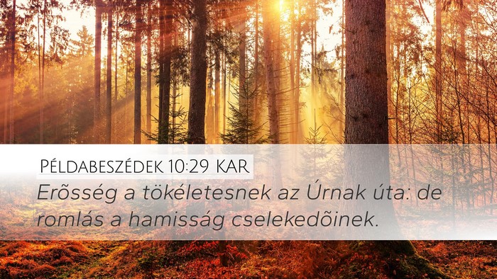 Példabeszédek 10:29 KAR Bible Verse Image