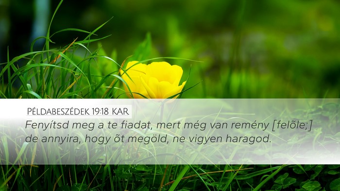 Példabeszédek 19:18 KAR Desktop Wallpaper - Fenyítsd meg a te fiadat, mert még van remény - Desktop Bible Verse Wallpaper