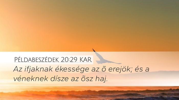 Példabeszédek 20:29 KAR Bible Verse Image