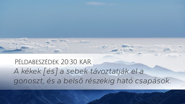 Példabeszédek 20:30 KAR Bible Verse Image