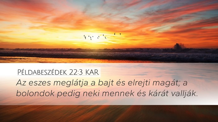 Példabeszédek 22:3 KAR Bible Verse Image
