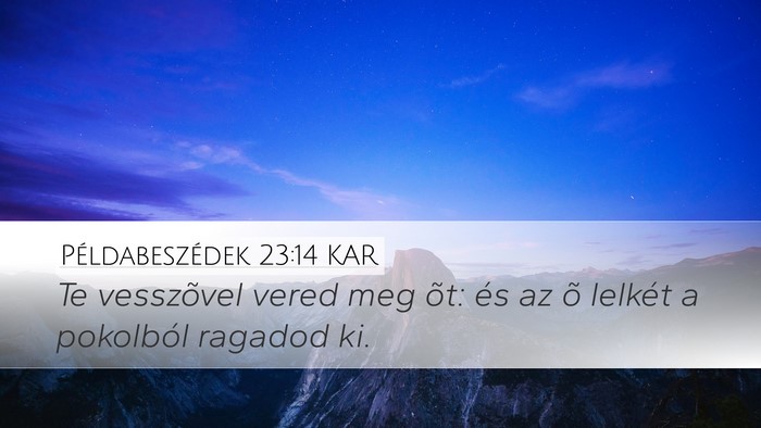 Példabeszédek 23:14 KAR Bible Verse Image
