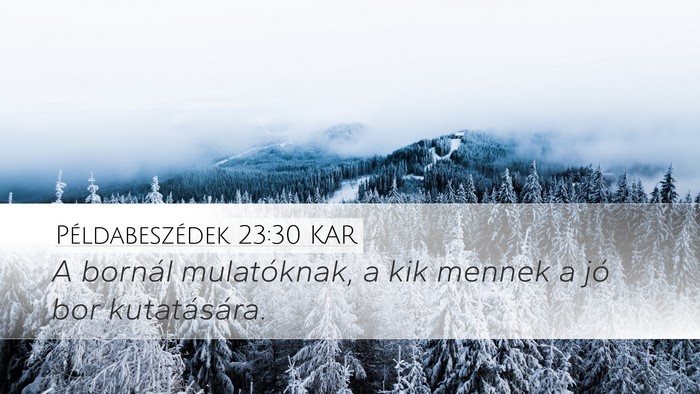 Példabeszédek 23:30 KAR Bible Verse Image