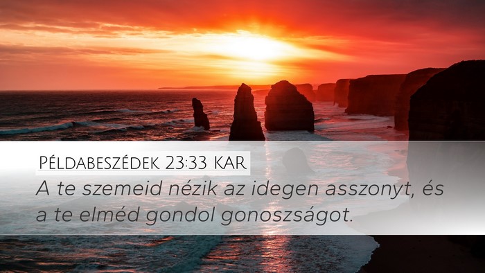 Példabeszédek 23:33 KAR Bible Verse Image