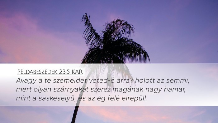 Példabeszédek 23:5 KAR Bible Verse Image