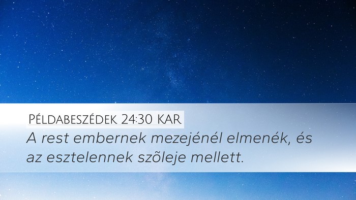 Példabeszédek 24:30 KAR Bible Verse Image