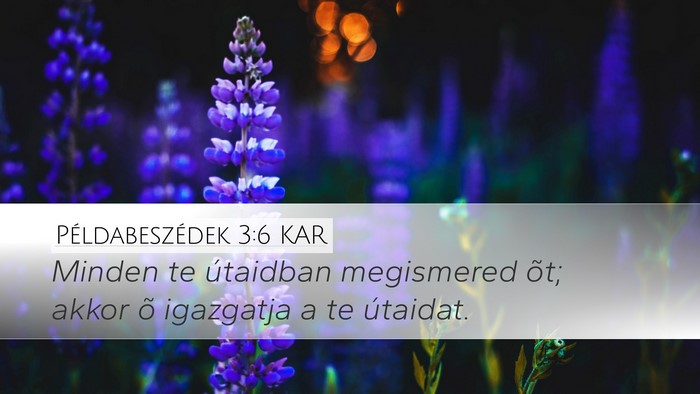 Példabeszédek 3:6 KAR Bible Verse Image