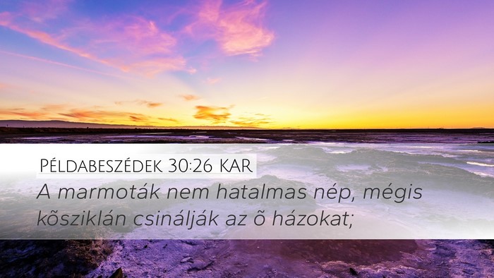 Példabeszédek 30:26 KAR Bible Verse Image