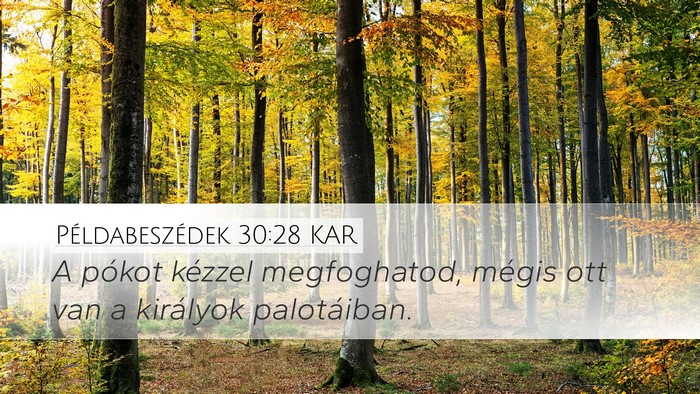 Példabeszédek 30:28 KAR Desktop Wallpaper - A pókot kézzel megfoghatod, mégis ott van a - Desktop Bible Verse Wallpaper