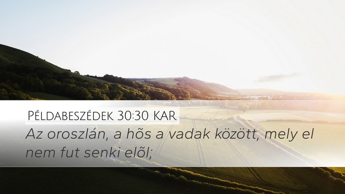Példabeszédek 30:30 KAR Bible Verse Image