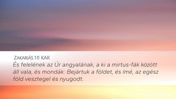 Zakariás 1:11 KAR Bible Verse Image