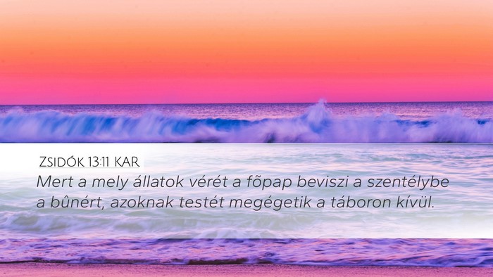 Zsidók 13:11 KAR Bible Verse Image