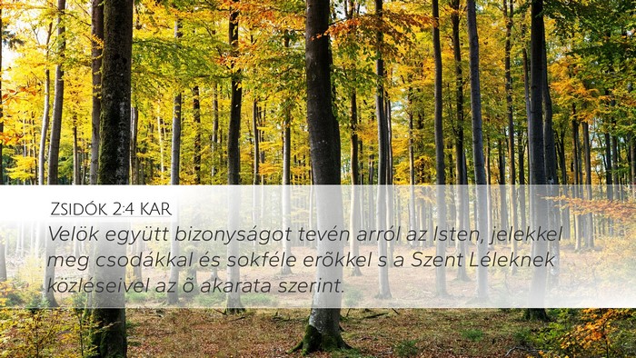Zsidók 2:4 KAR Bible Verse Image