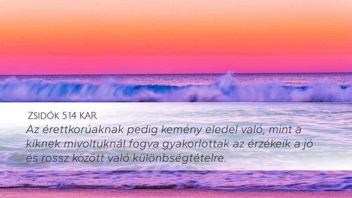 Zsidók 5:14 KAR Bible Verse Image