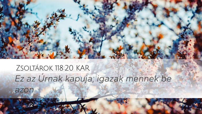 Zsoltárok 118:20 KAR Desktop Wallpaper - Ez az Úrnak kapuja; igazak mennek be - Desktop Bible Verse Wallpaper