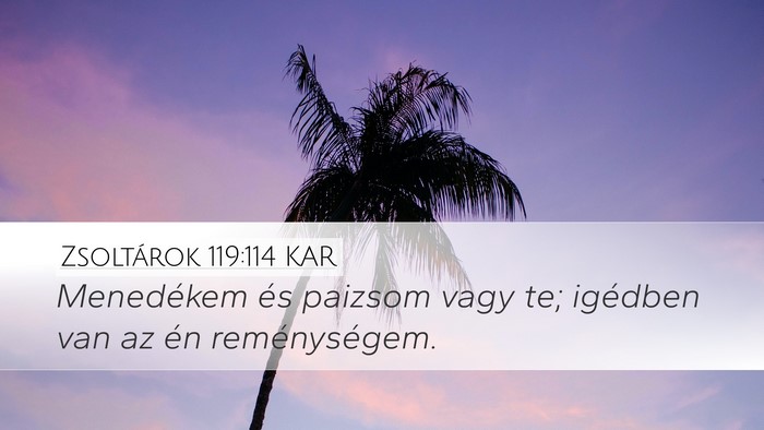 Zsoltárok 119:114 KAR Bible Verse Image