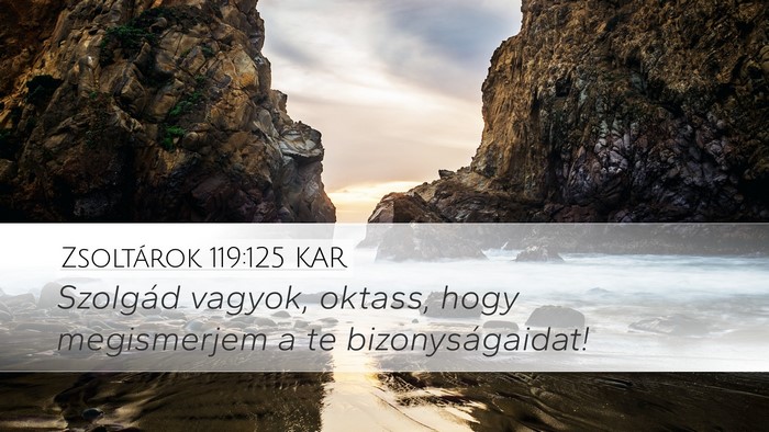 Zsoltárok 119:125 KAR Bible Verse Image