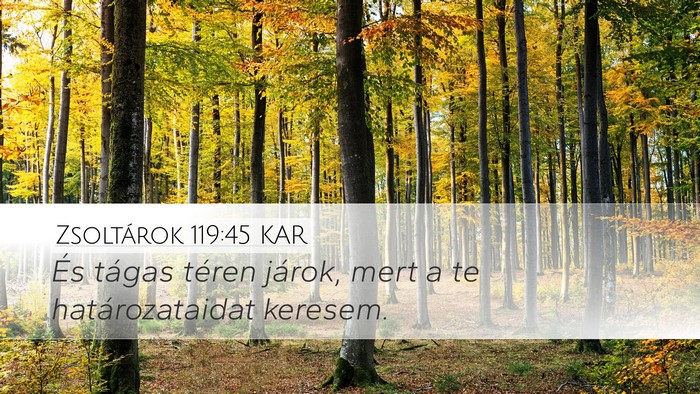 Zsoltárok 119:45 KAR Desktop Wallpaper - És tágas téren járok, mert a te - Desktop Bible Verse Wallpaper