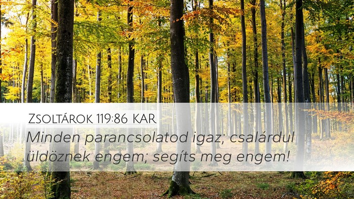 Zsoltárok 119:86 KAR Bible Verse Image
