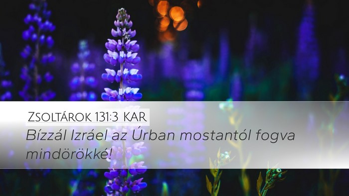 Zsoltárok 131:3 KAR Desktop Wallpaper - Bízzál Izráel az Úrban mostantól fogva - Desktop Bible Verse Wallpaper