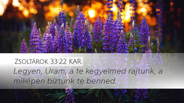 Zsoltárok 33:22 KAR Bible Verse Image