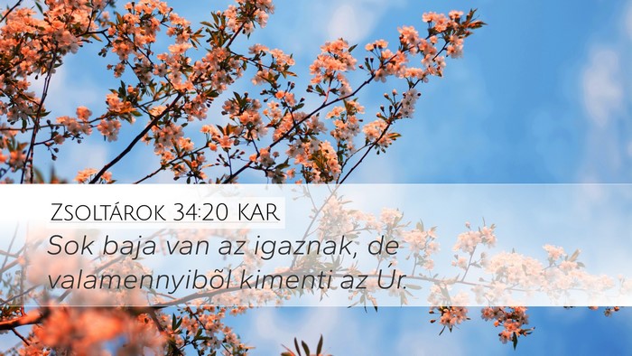 Zsoltárok 34:20 KAR Bible Verse Image