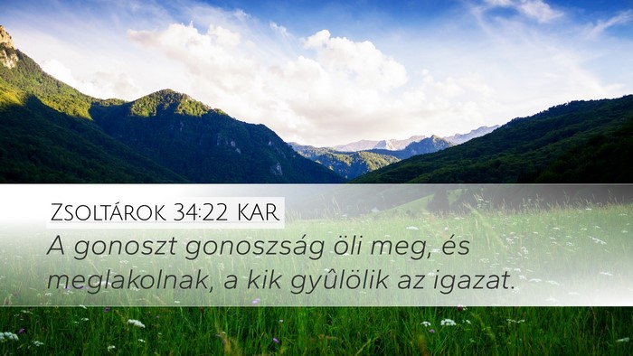 Zsoltárok 34:22 KAR Desktop Wallpaper - A gonoszt gonoszság öli meg, és meglakolnak, a - Desktop Bible Verse Wallpaper