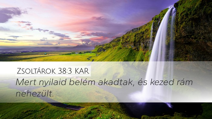 Zsoltárok 38:3 KAR Desktop Wallpaper - Mert nyilaid belém akadtak, és kezed rám - Desktop Bible Verse Wallpaper