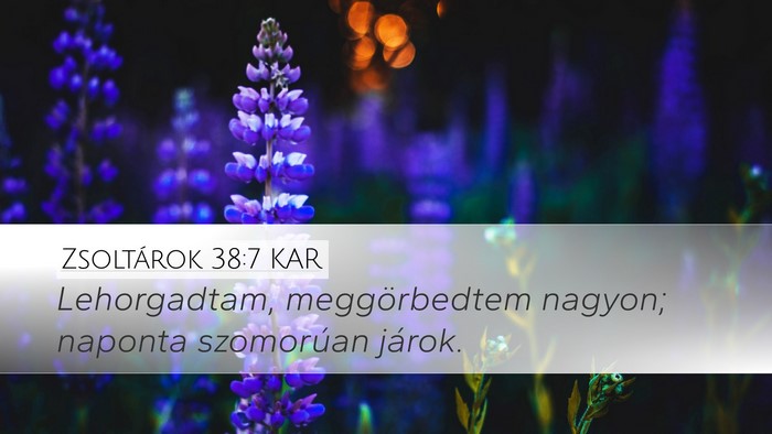 Zsoltárok 38:7 KAR Desktop Wallpaper - Lehorgadtam, meggörbedtem nagyon; naponta - Desktop Bible Verse Wallpaper