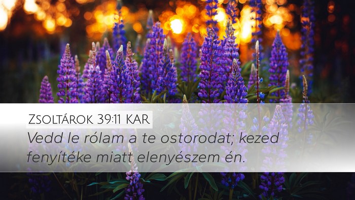 Zsoltárok 39:11 KAR Bible Verse Image